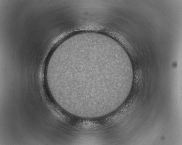 X0000116800632201001151123