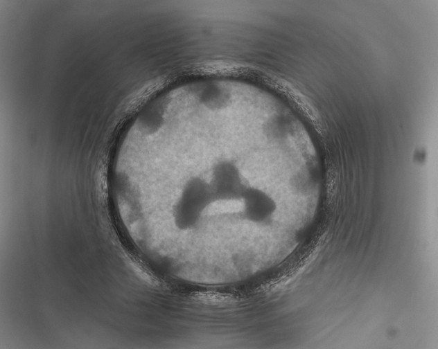 X0000116800633201001151123