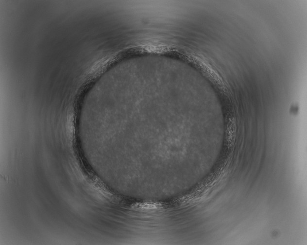 X0000116800639201001151123