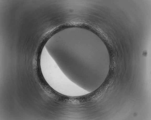 X0000116800640201001151123