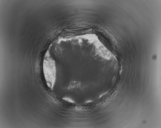 X0000116800641201001151123