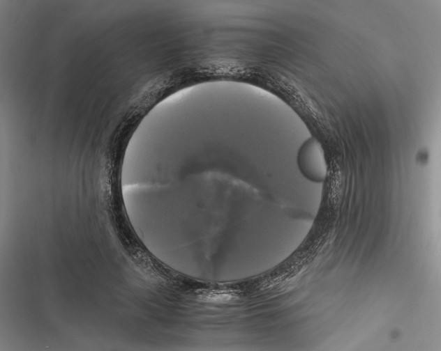 X0000116800643201001151123