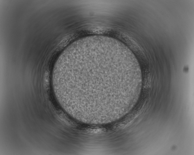 X0000116800646201001151123
