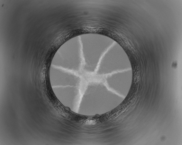 X0000116800647201001151123