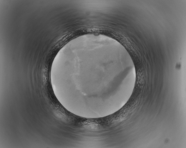 X0000116800648201001151123