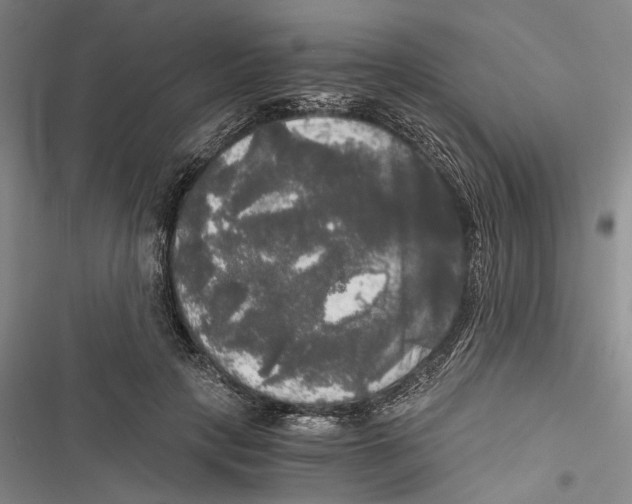 X0000116800649201001151123