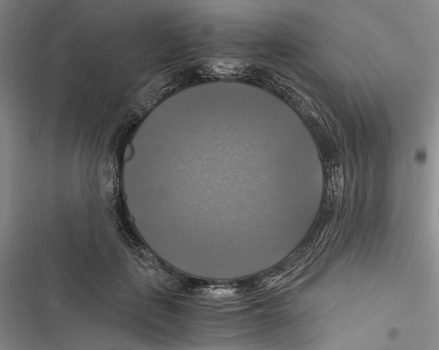 X0000116800651201001151123