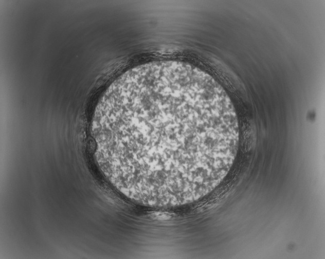 X0000116800654201001151123