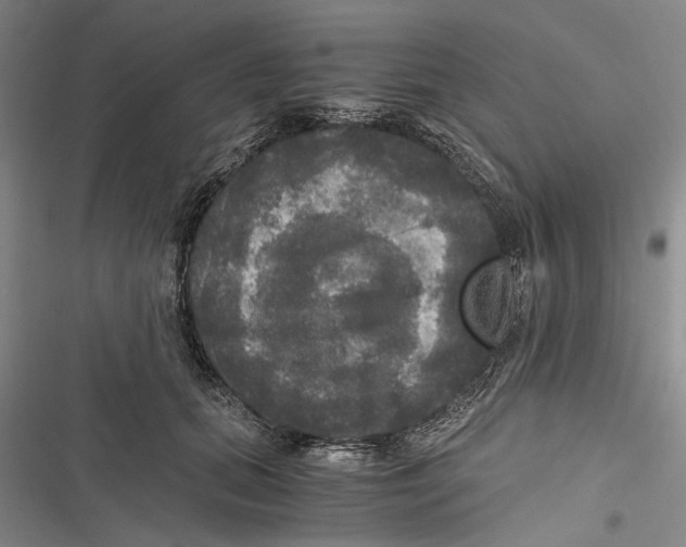 X0000116800655201001151123