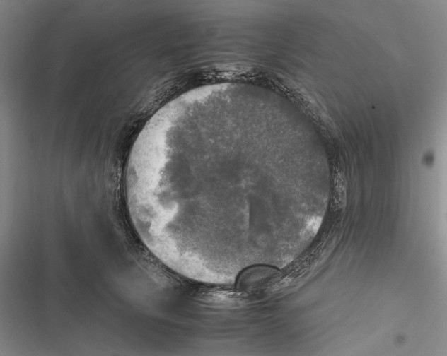 X0000116800657201001151123