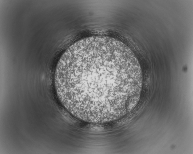 X0000116800658201001151123