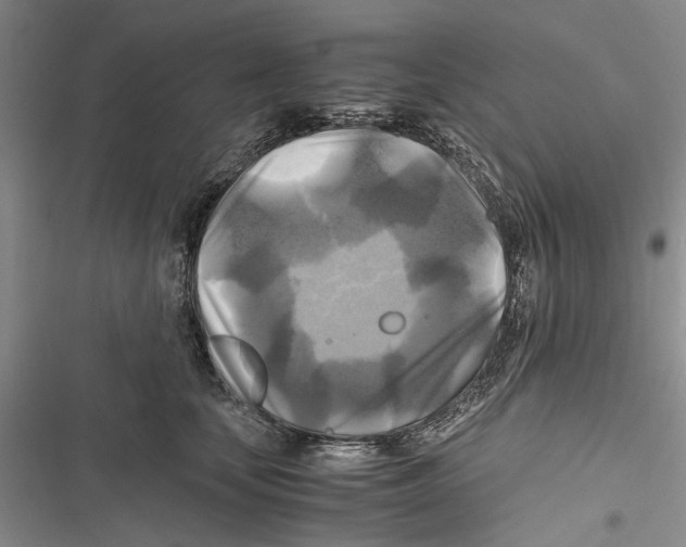 X0000116800659201001151123
