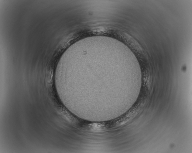 X0000116800660201001151123