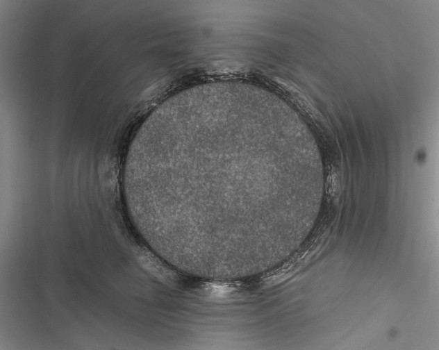 X0000116800662201001151123