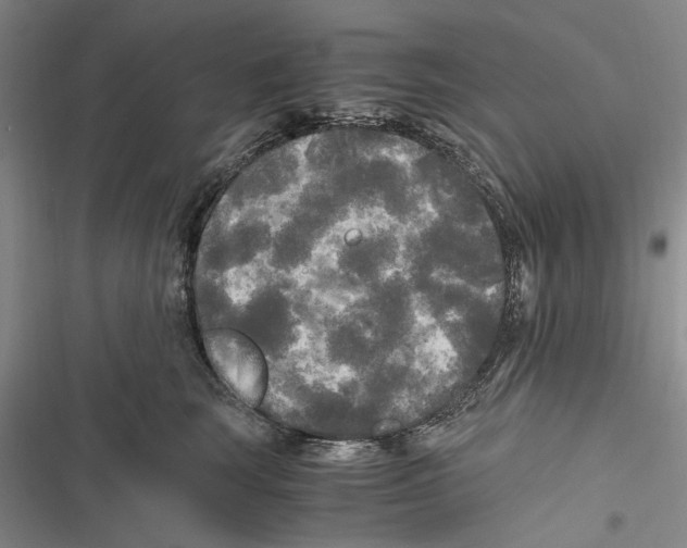 X0000116800663201001151123