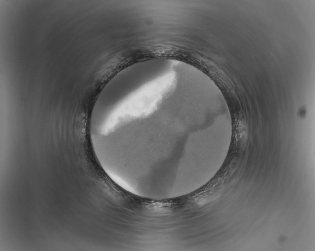 X0000116800664201001151123
