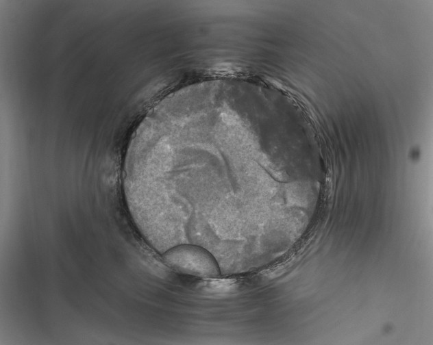 X0000116800665201001151123
