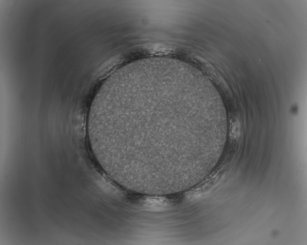 X0000116800666201001151124