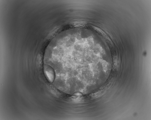 X0000116800667201001151124