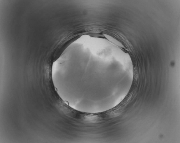 X0000116800669201001151124