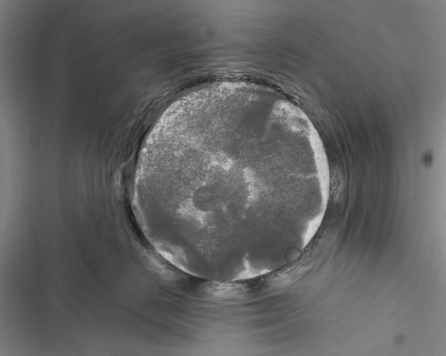 X0000116800670201001151124