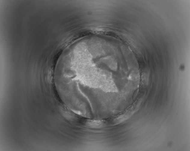X0000116800671201001151124