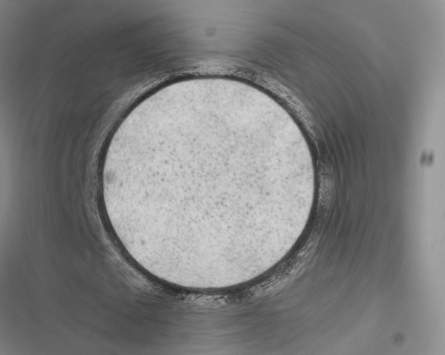 X0000116800673201001151123