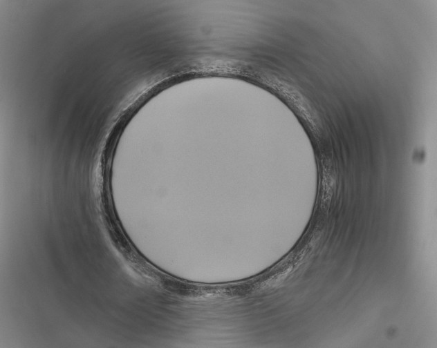 X0000116800674201001151123