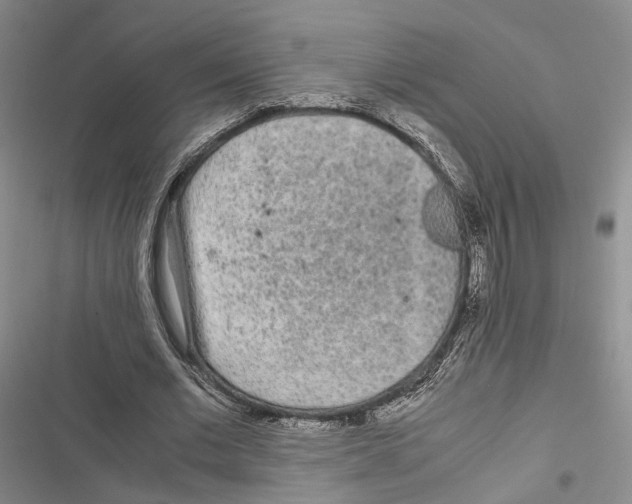 X0000116800677201001151123