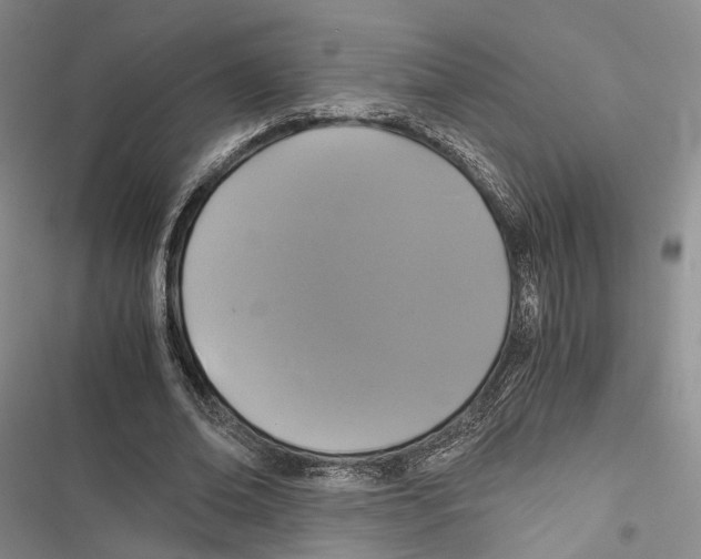 X0000116800678201001151123