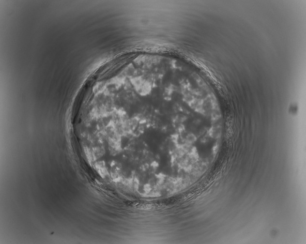 X0000116800679201001151123