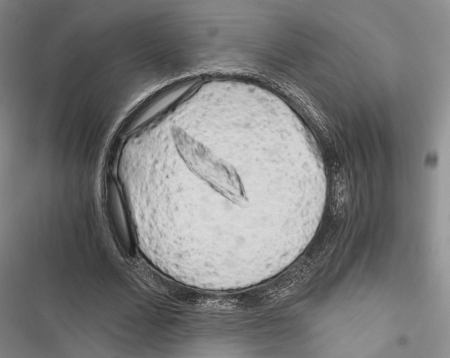 X0000116800680201001151123