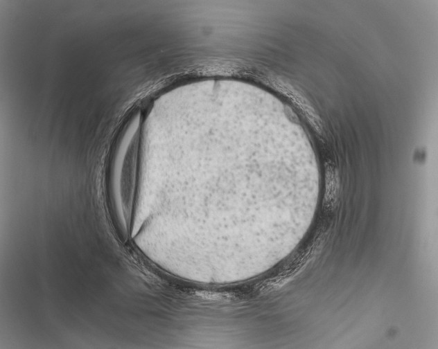 X0000116800681201001151123