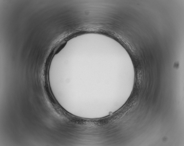 X0000116800682201001151123