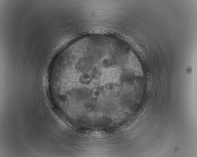 X0000116800683201001151123