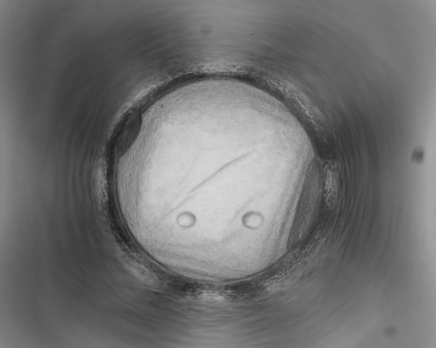 X0000116800684201001151123