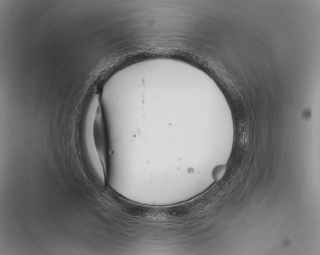 X0000116800685201001151123