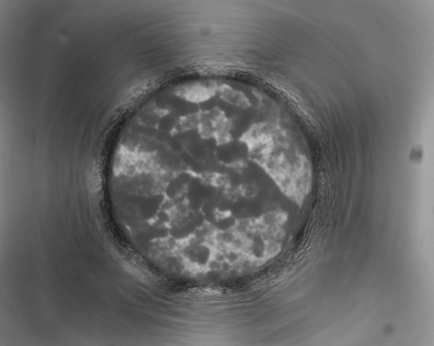 X0000116800687201001151123