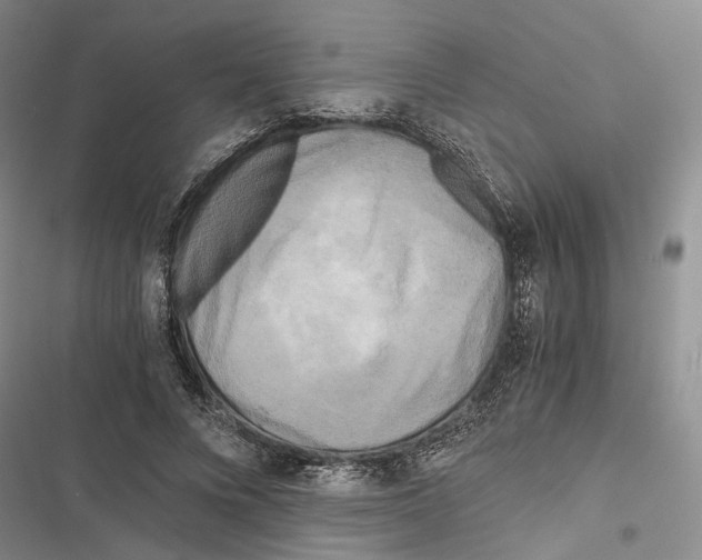 X0000116800688201001151123