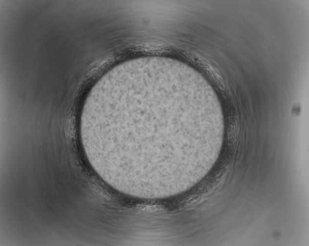 X0000116800689201001151123