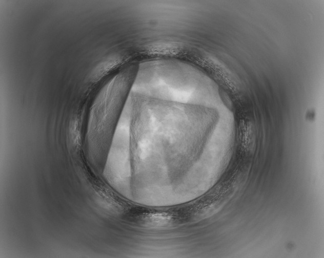 X0000116800692201001151123