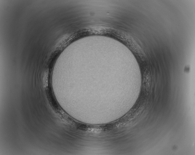 X0000116800694201001151123