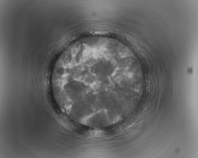 X0000116800695201001151123