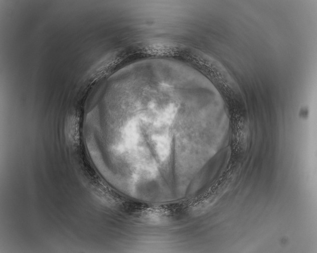 X0000116800696201001151123