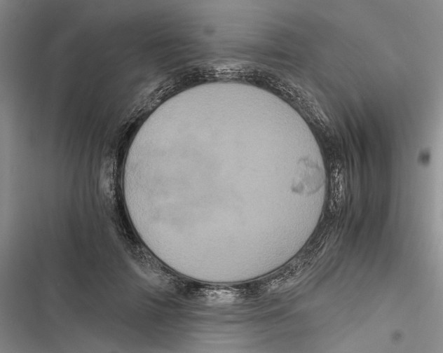 X0000116800698201001151123