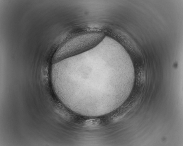 X0000116800700201001151123