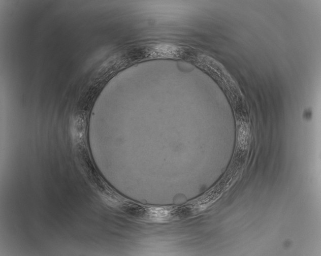 X0000116800701201001151123