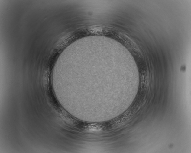 X0000116800702201001151123