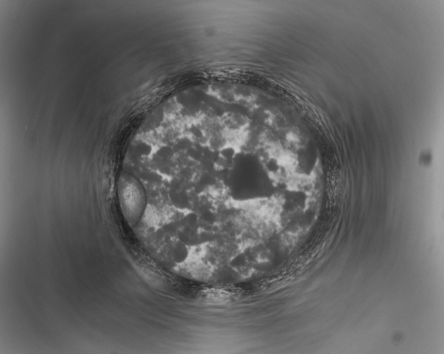 X0000116800703201001151123