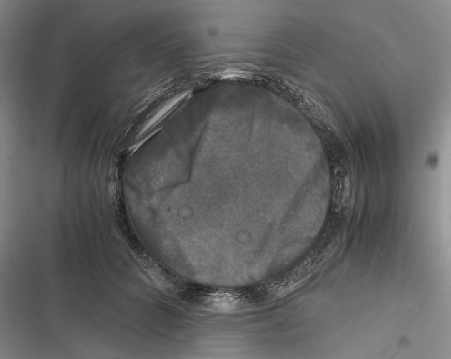 X0000116800704201001151123